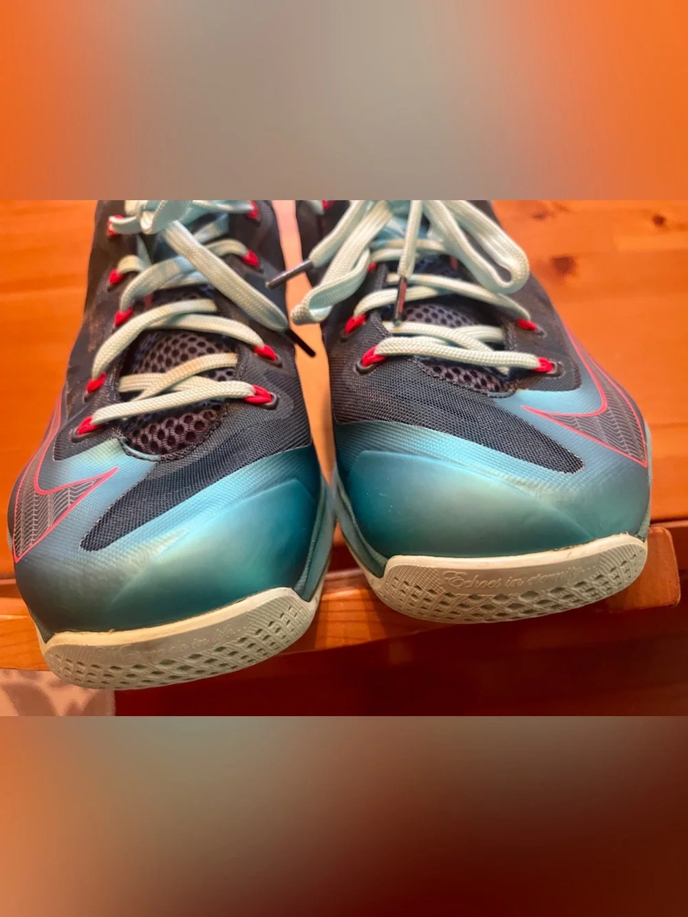 Nike Lebron nike max